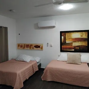 Estudio Zona Centro Cerca De La Terminal Ado Apartment
